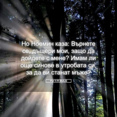 Picture 05 - Рут 1:11 BULG - Но Ноемин каза: Върнете се, - Bible Verse Picture