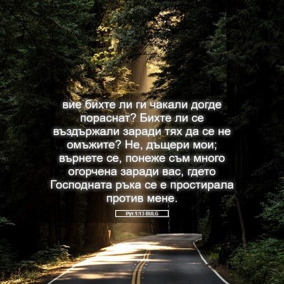 Picture 05 - Рут 1:13 BULG - вие бихте ли ги чакали - Bible Verse Picture