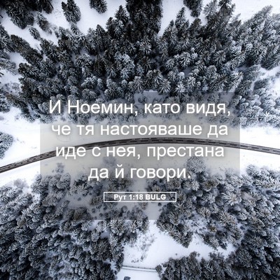 Picture 05 - Рут 1:18 BULG - И Ноемин, като видя, че тя - Bible Verse Picture
