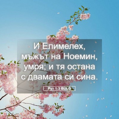 Picture 05 - Рут 1:3 BULG - И Елимелех, мъжът на - Bible Verse Picture