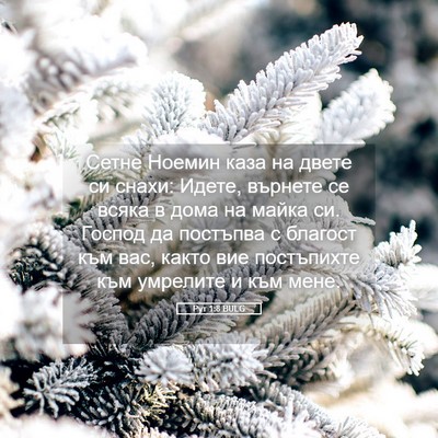 Picture 05 - Рут 1:8 BULG - Сетне Ноемин каза на двете - Bible Verse Picture