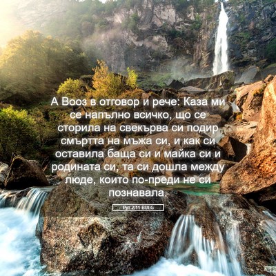 Picture 05 - Рут 2:11 BULG - А Вооз в отговор и рече: - Bible Verse Picture
