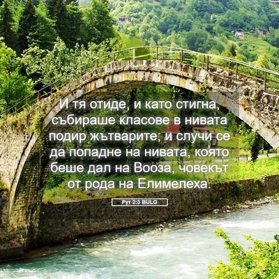 Picture 05 - Рут 2:3 BULG - И тя отиде, и като стигна, - Bible Verse Picture