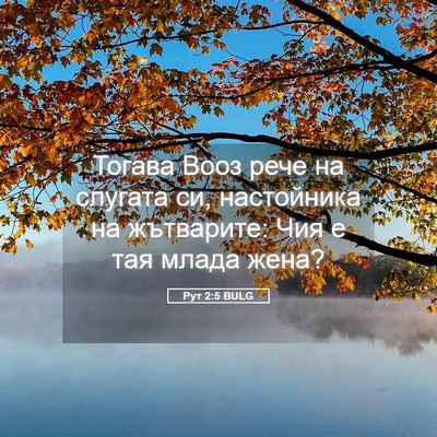 Picture 05 - Рут 2:5 BULG - Тогава Вооз рече на - Bible Verse Picture