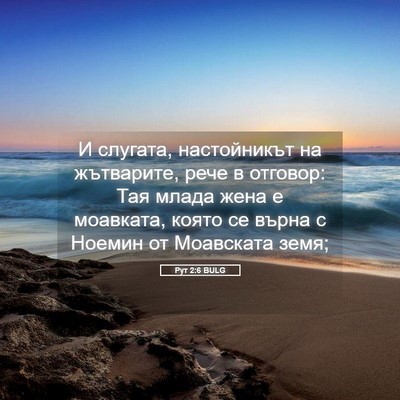 Picture 05 - Рут 2:6 BULG - И слугата, настойникът на - Bible Verse Picture