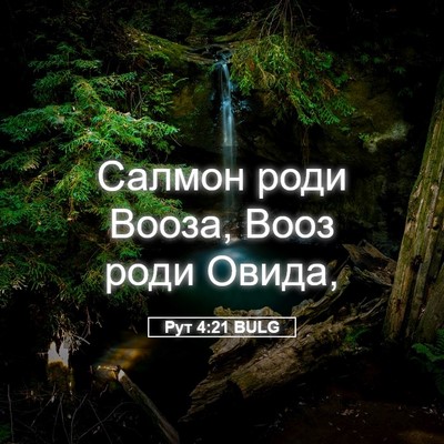 Picture 05 - Рут 4:21 BULG - Салмон роди Вооза, Вооз - Bible Verse Picture