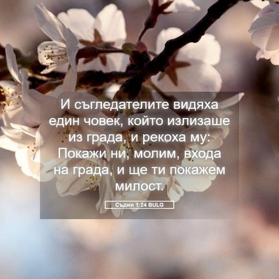Picture 05 - Съдии 1:24 BULG - И съгледателите видяха - Bible Verse Picture