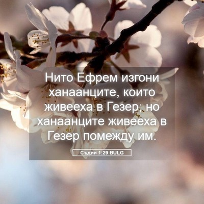 Picture 05 - Съдии 1:29 BULG - Нито Ефрем изгони - Bible Verse Picture