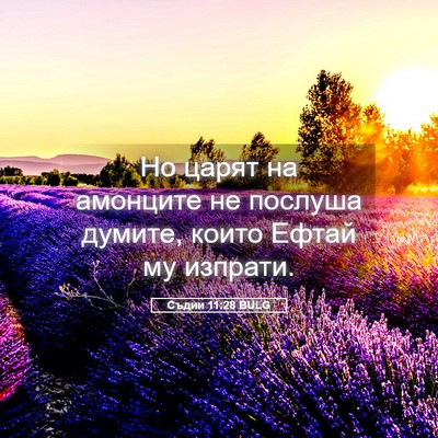 Picture 05 - Съдии 11:28 BULG - Но царят на амонците не - Bible Verse Picture