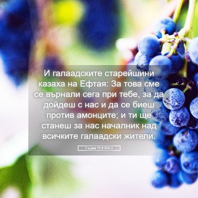 Picture 05 - Съдии 11:8 BULG - И галаадските старейшини - Bible Verse Picture