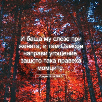 Picture 05 - Съдии 14:10 BULG - И баща му слезе при жената; - Bible Verse Picture