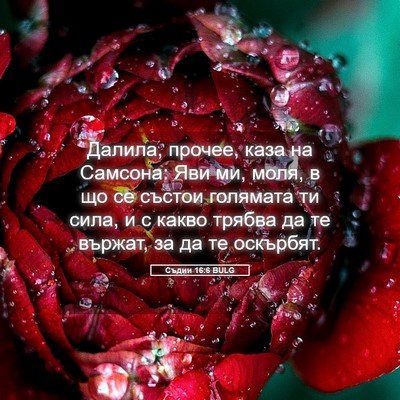Picture 05 - Съдии 16:6 BULG - Далила, прочее, каза на - Bible Verse Picture