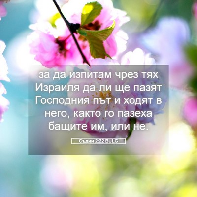 Picture 05 - Съдии 2:22 BULG - за да изпитам чрез тях - Bible Verse Picture