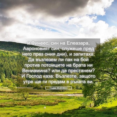 Picture 05 - Съдии 20:28 BULG - и Финеес, син на Елеазара, - Bible Verse Picture