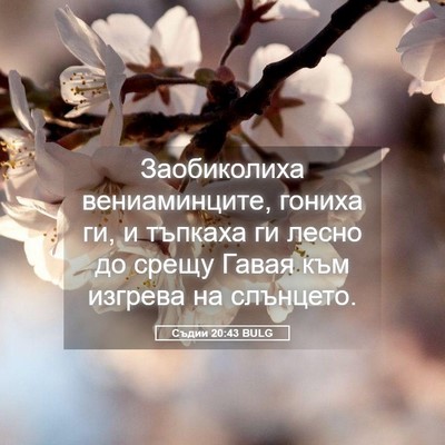 Picture 05 - Съдии 20:43 BULG - Заобиколиха вениаминците, - Bible Verse Picture