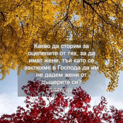 Picture 05 - Съдии 21:7 BULG - Какво да сторим за - Bible Verse Picture