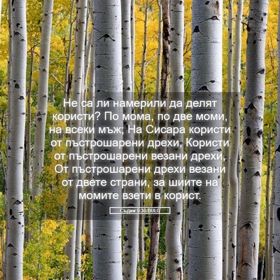 Picture 05 - Съдии 5:30 BULG - Не са ли намерили да делят - Bible Verse Picture