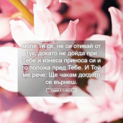 Picture 05 - Съдии 6:18 BULG - моля Ти се, не си отивай от - Bible Verse Picture