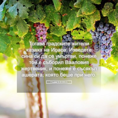 Picture 05 - Съдии 6:30 BULG - Тогава градските жители - Bible Verse Picture