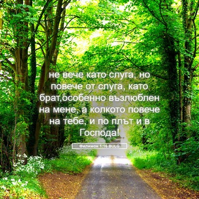 Picture 05 - Филимон 1:16 BULG - не вече като слуга, но - Bible Verse Picture