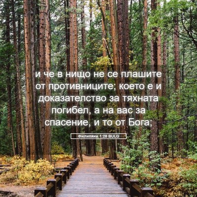 Picture 05 - Филипяни 1:28 BULG - и че в нищо не се плашите от - Bible Verse Picture