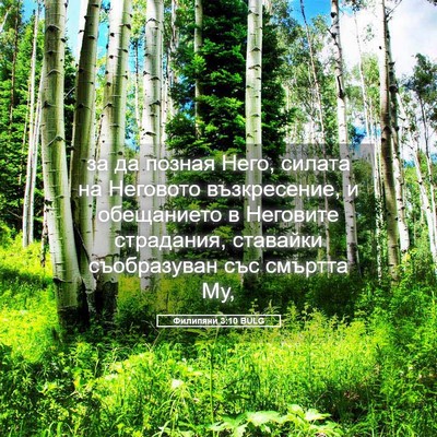 Picture 05 - Филипяни 3:10 BULG - за да позная Него, силата - Bible Verse Picture