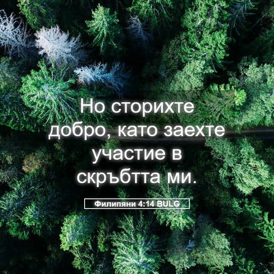 Picture 05 - Филипяни 4:14 BULG - Но сторихте добро, като - Bible Verse Picture