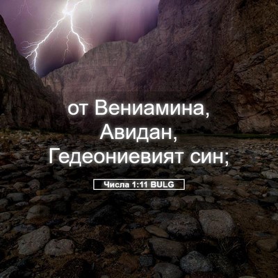 Picture 05 - Числа 1:11 BULG - от Вениамина, Авидан, - Bible Verse Picture