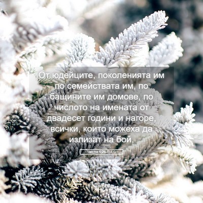 Picture 05 - Числа 1:26 BULG - От юдейците, поколенията - Bible Verse Picture