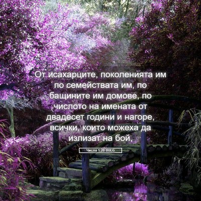 Picture 05 - Числа 1:28 BULG - От исахарците, поколенията - Bible Verse Picture