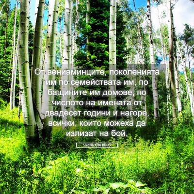 Picture 05 - Числа 1:36 BULG - От вениаминците, - Bible Verse Picture