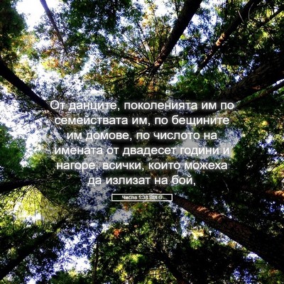 Picture 05 - Числа 1:38 BULG - От данците, поколенията им - Bible Verse Picture