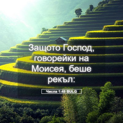 Picture 05 - Числа 1:48 BULG - Защото Господ, говорейки - Bible Verse Picture