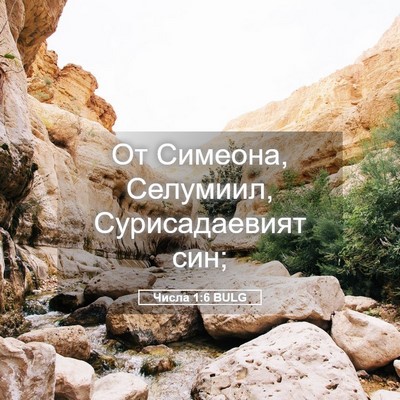 Picture 05 - Числа 1:6 BULG - От Симеона, Селумиил, - Bible Verse Picture