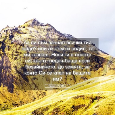 Picture 05 - Числа 11:12 BULG - Аз ли съм зачнал всички тия - Bible Verse Picture
