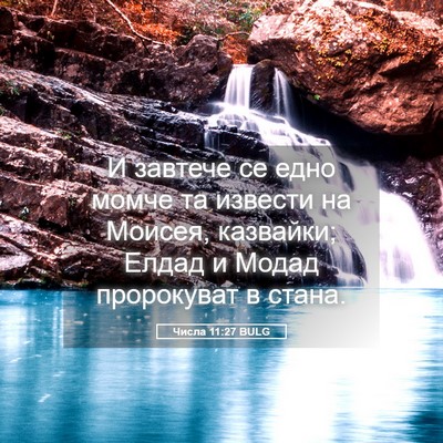 Picture 05 - Числа 11:27 BULG - И завтече се едно момче та - Bible Verse Picture