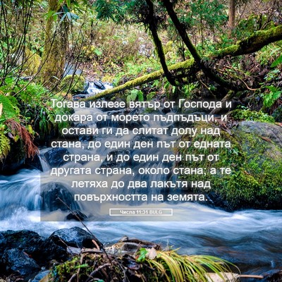 Picture 05 - Числа 11:31 BULG - Тогава излезе вятър от - Bible Verse Picture