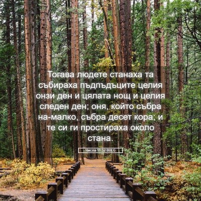 Picture 05 - Числа 11:32 BULG - Тогава людете станаха та - Bible Verse Picture