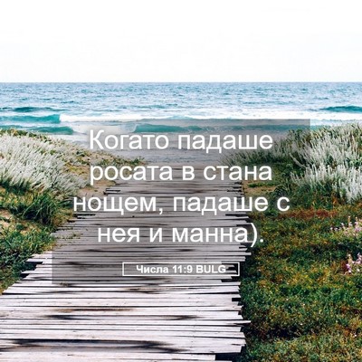 Picture 05 - Числа 11:9 BULG - Когато падаше росата в - Bible Verse Picture