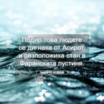 Picture 05 - Числа 12:16 BULG - Подир това людете се - Bible Verse Picture