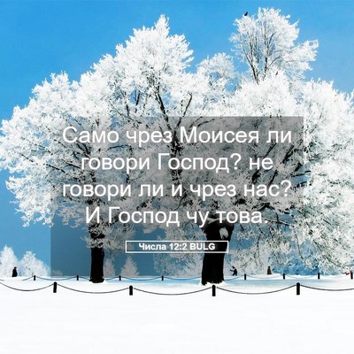 Picture 05 - Числа 12:2 BULG - Само чрез Моисея ли говори - Bible Verse Picture