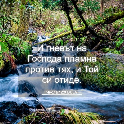Picture 05 - Числа 12:9 BULG - И гневът на Господа пламна - Bible Verse Picture
