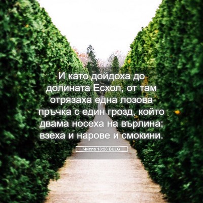Picture 05 - Числа 13:23 BULG - И като дойдоха до долината - Bible Verse Picture