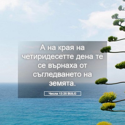 Picture 05 - Числа 13:25 BULG - А на края на четиридесетте - Bible Verse Picture