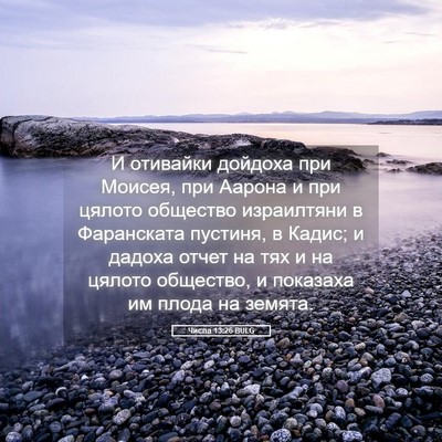 Picture 05 - Числа 13:26 BULG - И отивайки дойдоха при - Bible Verse Picture