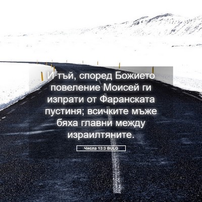 Picture 05 - Числа 13:3 BULG - И тъй, според Божието - Bible Verse Picture