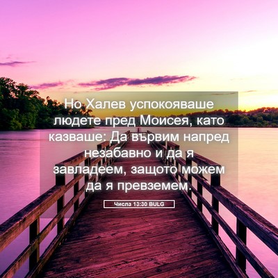Picture 05 - Числа 13:30 BULG - Но Халев успокояваше - Bible Verse Picture