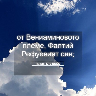 Picture 05 - Числа 13:9 BULG - от Вениаминовото племе, - Bible Verse Picture