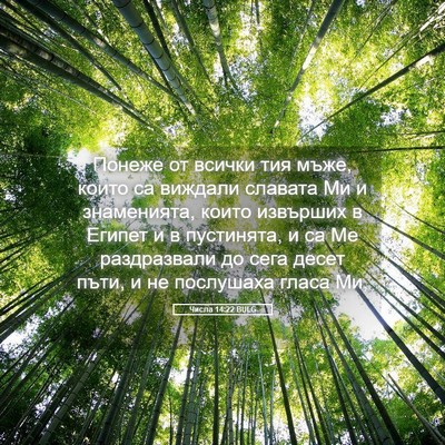 Picture 05 - Числа 14:22 BULG - Понеже от всички тия мъже, - Bible Verse Picture