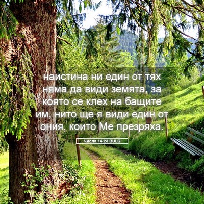 Picture 05 - Числа 14:23 BULG - наистина ни един от тях - Bible Verse Picture